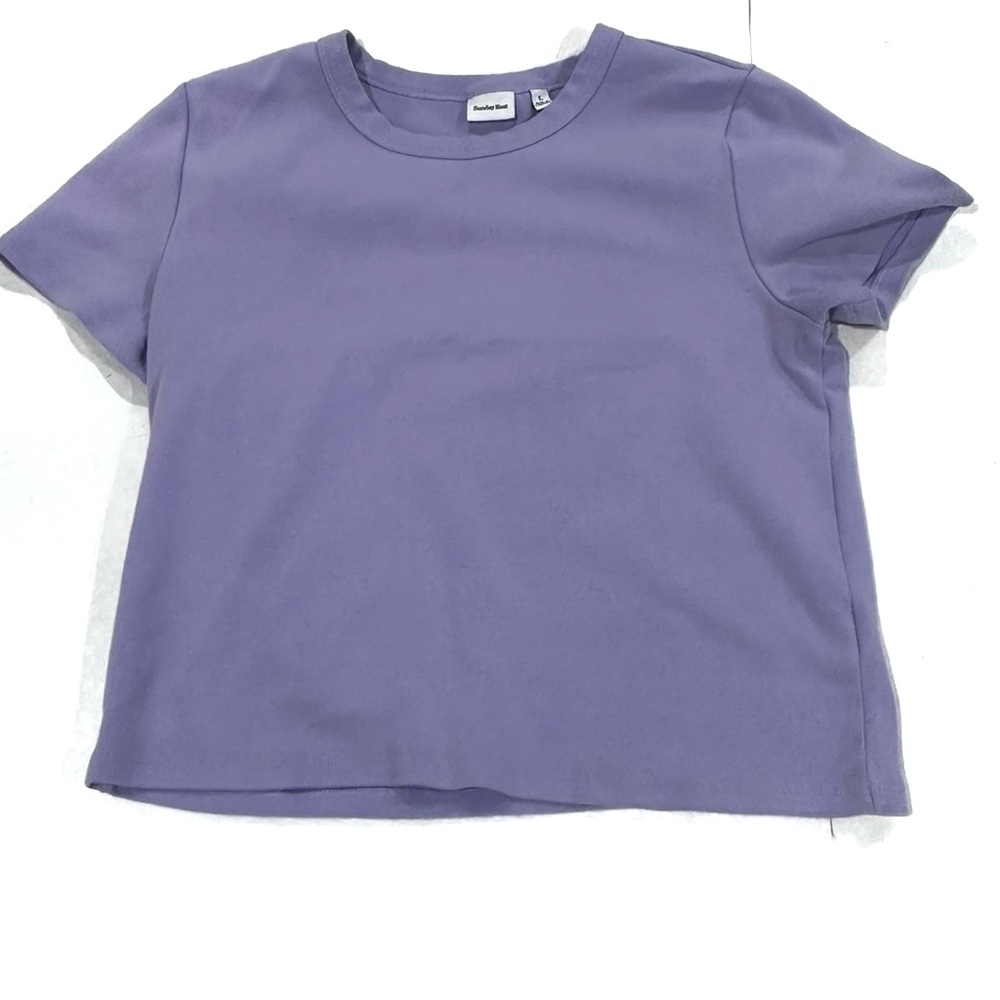 Aritzia Sunday Best Short Sleeve Cotton Crop Top, L, Light Purple Tee - Picture 4 of 6